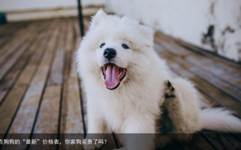 盘点狗狗的“最新”价格表，你家狗买贵了吗？