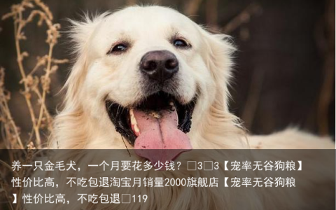 养一只金毛犬，一个月要花多少钱？