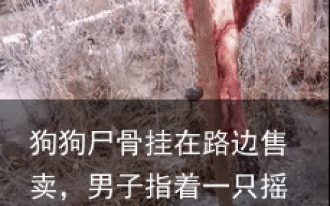 狗狗尸骨挂在路边售卖，男子指着一只摇尾巴的金毛说：肉多少钱？