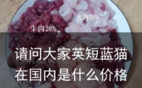 请问大家英短蓝猫在国内是什么价格？（英短蓝猫一般价钱一只多少钱）