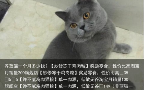 养蓝猫一个月多少钱？（养蓝猫一个月花多少钱一只）