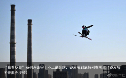 “我看冬奥”系列评论⑥｜不止是金牌，谷爱凌到底特别在哪里（谷爱凌冬青奥会视频）