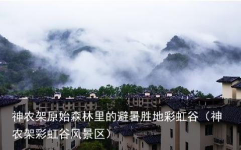 神农架原始森林里的避暑胜地彩虹谷（神农架彩虹谷风景区）