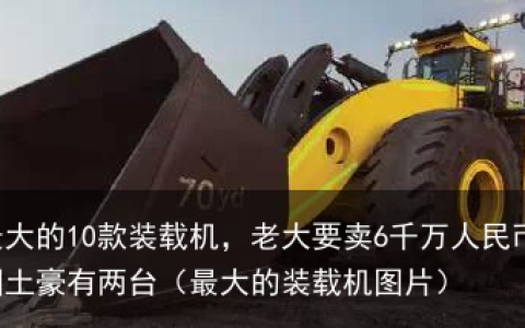 世界最大的10款装载机，老大要卖6千万人民币，中国土豪有两台（最大的装载机图片）