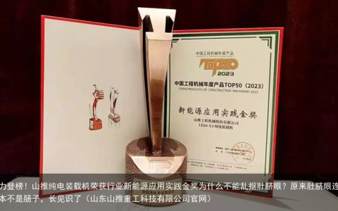 实力登榜！山推纯电装载机荣获行业新能源应用实践金奖