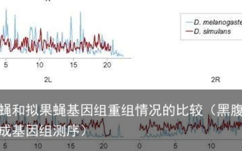 黑腹果蝇和拟果蝇基因组重组情况的比较（黑腹果蝇有没有完成基因组测序）