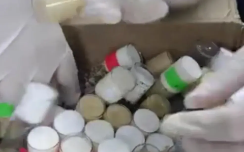 上海查获1200只果蝇，国外为何老往中国邮寄？什么是昆虫绝育技术（果蝇一般在哪）