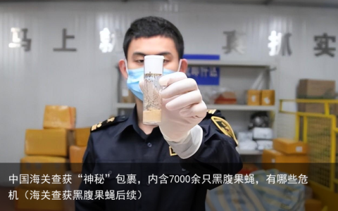中国海关查获“神秘”包裹，内含7000余只黑腹果蝇，有哪些危机（海关查获黑腹果蝇后续）