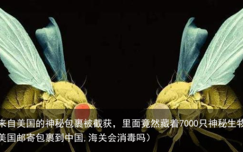 一个来自美国的神秘包裹被截获，里面竟然藏着7000只神秘生物？（美国邮寄包裹到中国,海关会消毒吗）