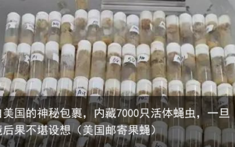 来自美国的神秘包裹，内藏7000只活体蝇虫，一旦入境后果不堪设想（美国邮寄果蝇）
