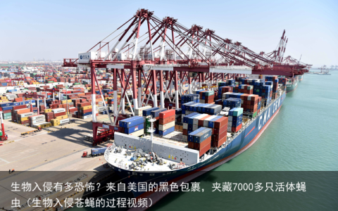 生物入侵有多恐怖？来自美国的黑色包裹，夹藏7000多只活体蝇虫（生物入侵苍蝇的过程视频）