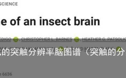 Science：里程碑式的突触分辨率脑图谱（突触的分类及结构特点）