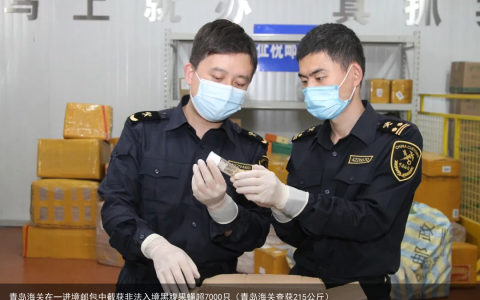 青岛海关在一进境邮包中截获非法入境黑腹果蝇超7000只（青岛海关查获215公斤）