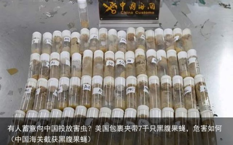 有人蓄意向中国投放害虫？美国包裹夹带7千只黑腹果蝇，危害如何（中国海关截获黑腹果蝇）