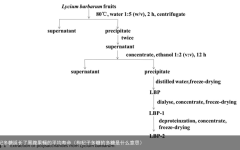 枸杞多糖延长了黑腹果蝇的平均寿命（枸杞子多糖的多糖是什么意思）