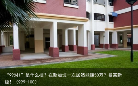 “99对1”是什么梗？在新加坡一次居然能赚50万？暴富新经！（999-100）
