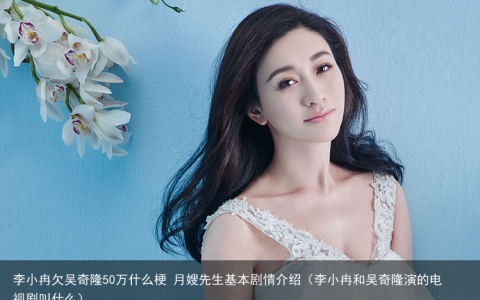 李小冉欠吴奇隆50万什么梗 月嫂先生基本剧情介绍（李小冉和吴奇隆演的电视剧叫什么）