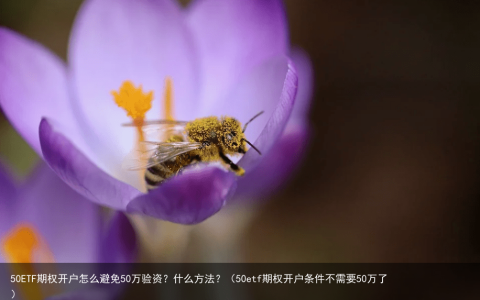50ETF期权开户怎么避免50万验资？什么方法？（50etf期权开户条件不需要50万了）