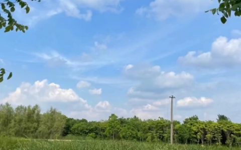 品牌控价怎么做？电商平台怎么控价？（品牌控价函模板）