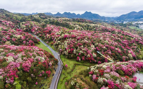 4月最值得去的8个旅行地，不要错过最美的人间四月天（4月最好的旅游地点）