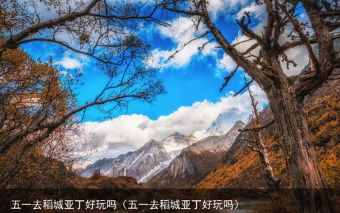 五一去稻城亚丁好玩吗（五一去稻城亚丁好玩吗）