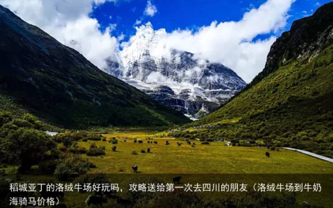 稻城亚丁的洛绒牛场好玩吗，攻略送给第一次去四川的朋友（洛绒牛场到牛奶海骑马价格）