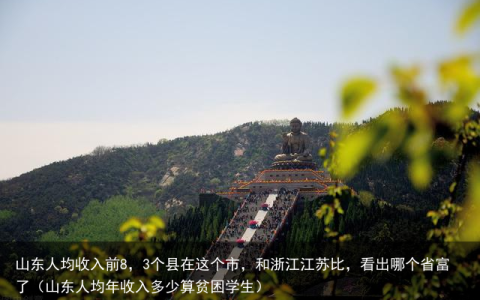 山东人均收入前8，3个县在这个市，和浙江江苏比，看出哪个省富了（山东人均年收入多少算贫困学生）