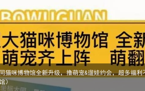 大同猫咪博物馆全新升级，撸萌宠&遛娃约会，超多福利不要错过（大同星茂汇猫咪博物馆）