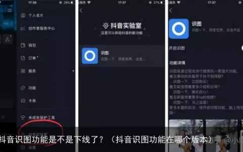 抖音识图功能是不是下线了？（抖音识图功能在哪个版本）