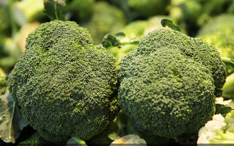 你不会不知道吧？这些有助于减肥的食物就该多吃！(哪些有助于减肥)