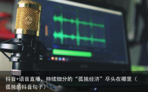 抖音+语音直播，持续细分的“孤独经济”尽头在哪里（孤独的抖音句子）