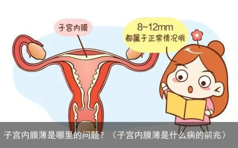 子宫内膜薄是哪里的问题？（子宫内膜薄是什么病的前兆）
