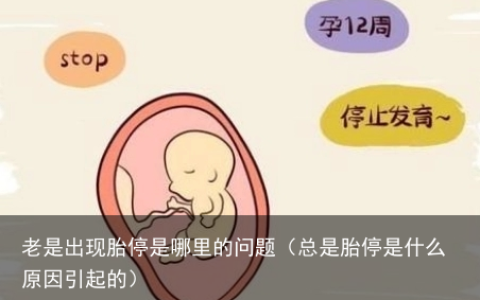 老是出现胎停是哪里的问题（总是胎停是什么原因引起的）