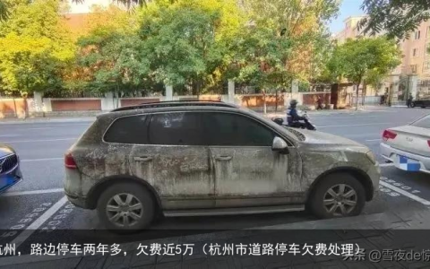 杭州，路边停车两年多，欠费近5万（杭州市道路停车欠费处理）