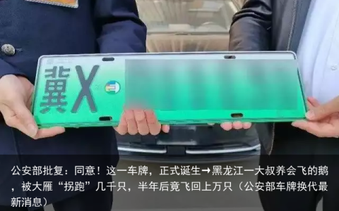 公安部批复：同意！这一车牌，正式诞生（公安部车牌换代最新消息）