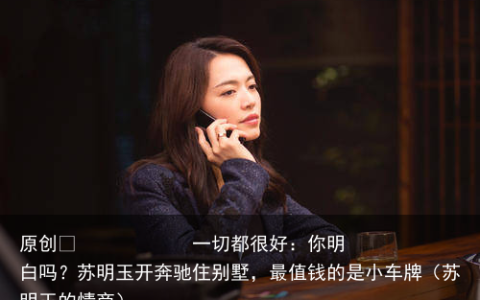 原创
一切都很好：你明白吗？苏明玉开奔驰住别墅，最值钱的是小车牌（苏明玉的情商）