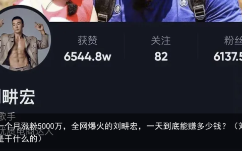 不到一个月涨粉5000万，全网爆火的刘畊宏，一天到底能赚多少钱？（刘畊宏是干什么的）