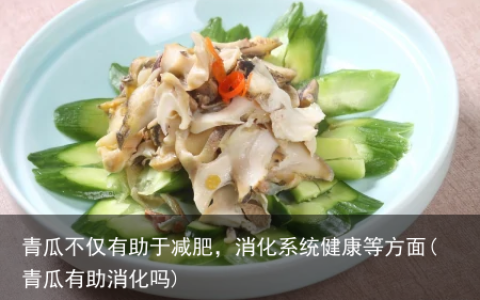青瓜不仅有助于减肥，消化系统健康等方面(青瓜有助消化吗)