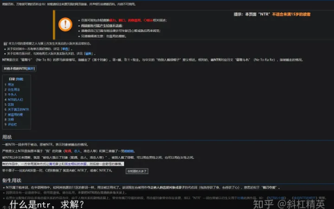 什么是ntr，求解？