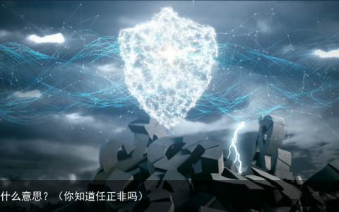 任正非什么意思？（你知道任正非吗）