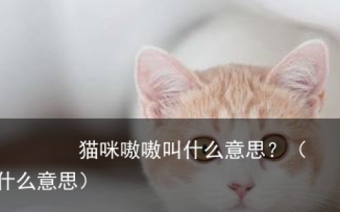 猫咪嗷嗷叫什么意思？（猫嗷嗷的叫什么意思）