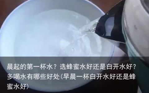 晨起的第一杯水？选蜂蜜水好还是白开水好？多喝水有哪些好处(早晨一杯白开水好还是蜂蜜水好)