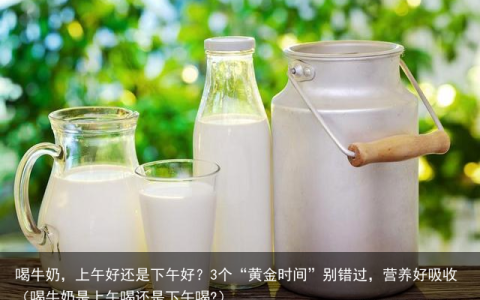 喝牛奶，上午好还是下午好？3个“黄金时间”别错过，营养好吸收（喝牛奶是上午喝还是下午喝?）