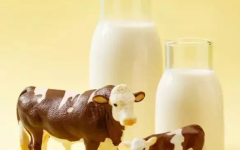 喝牛奶有4个禁忌，一定要了解！