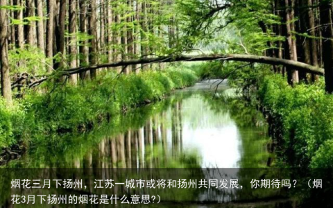 烟花三月下扬州，江苏一城市或将和扬州共同发展，你期待吗？（烟花3月下扬州的烟花是什么意思?）