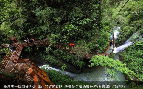 重庆五一假期好去处 黑山谷旅游攻略 低音号免费语音导游(重庆黑山谷游记)