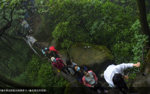 端午节重庆周边吸氧出游推荐(5.1重庆周边自驾游)