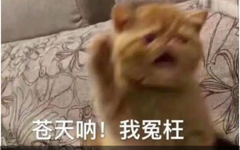 重庆配眼镜哪里好？重庆主城配眼镜推荐分享！