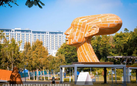 广东高考大数据看考生都怎么选专业(广东高考成绩排名查询)