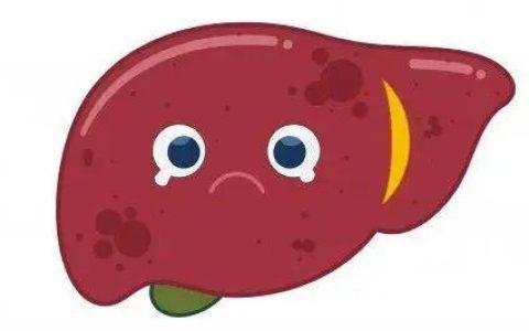 肝结节 吃中药可以消吗？(肝结节吃中药能好吗女性)